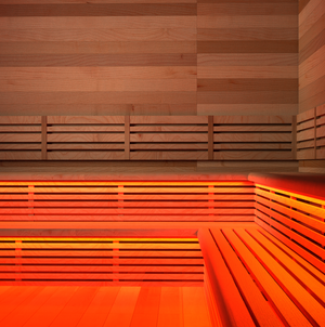 Sauna LED Light Kit